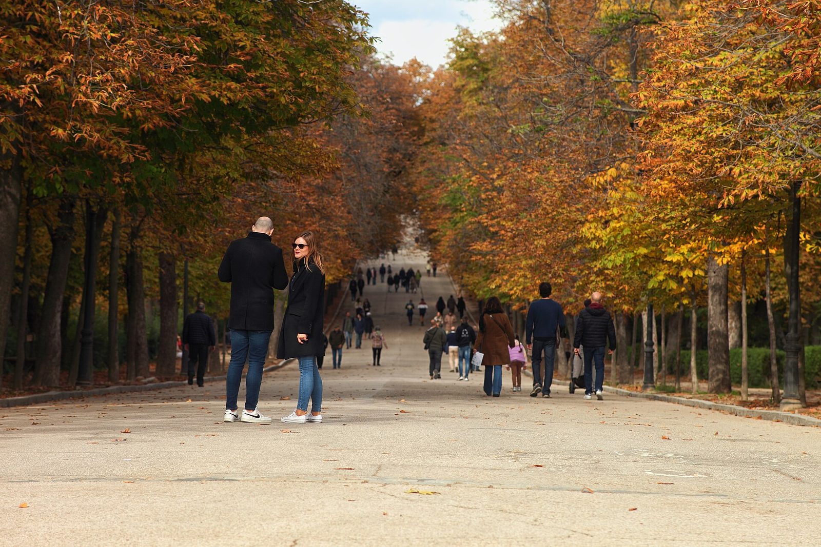 Cuándo visitar Madrid: temporada por temporada, sin tópicos